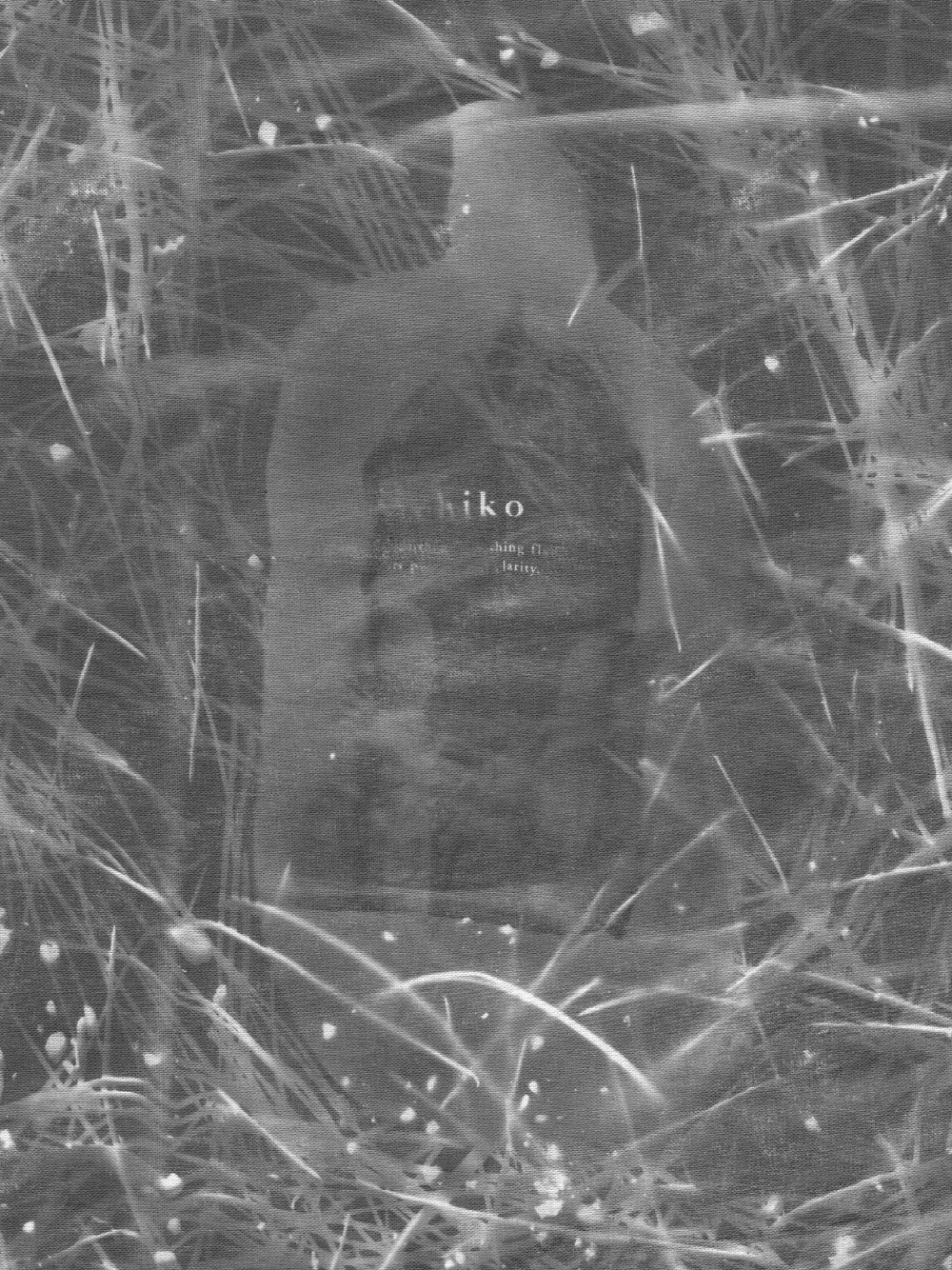 写真作品 1